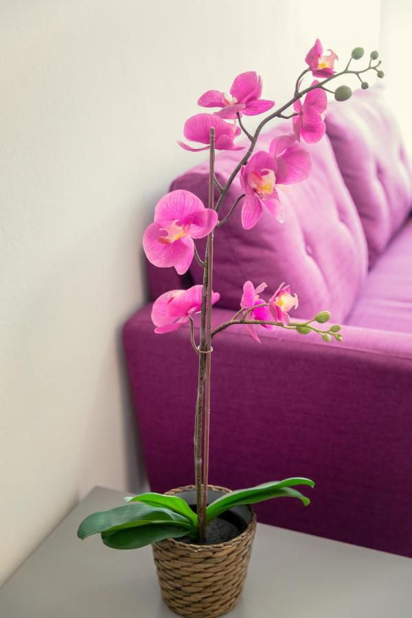 Andriana City Centre Flat Larnaca Extérieur photo